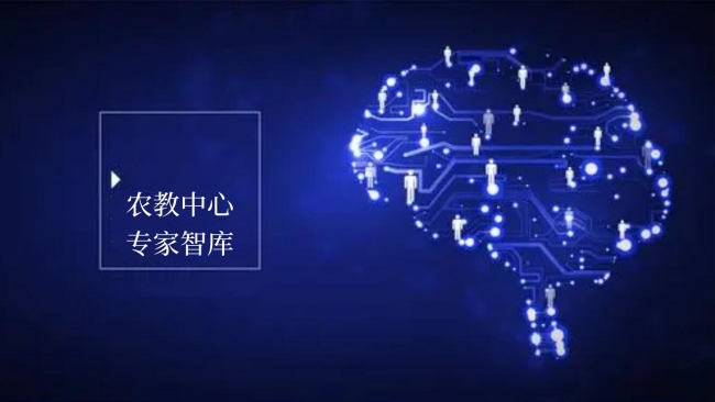 專家智庫（項目介紹請點擊圖片）